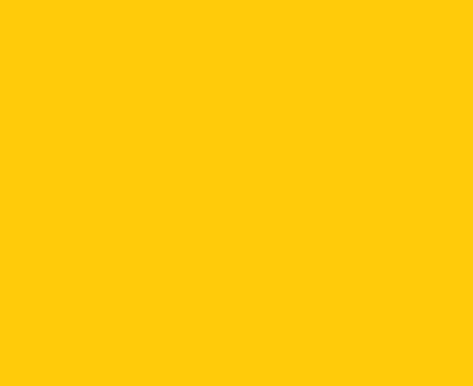 Lorem ipsum dolor sit amet,consectetur adipiscing elit.